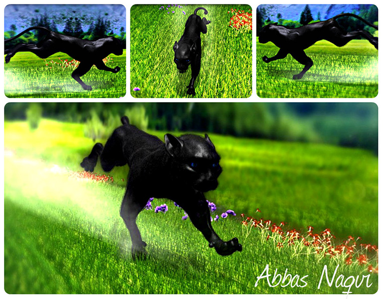 Black Panther